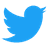 Twitter Icon